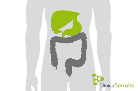 Ecografía abdominal. Clínica Serralta